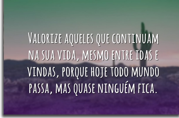 mensagens para whatsapp valorizar