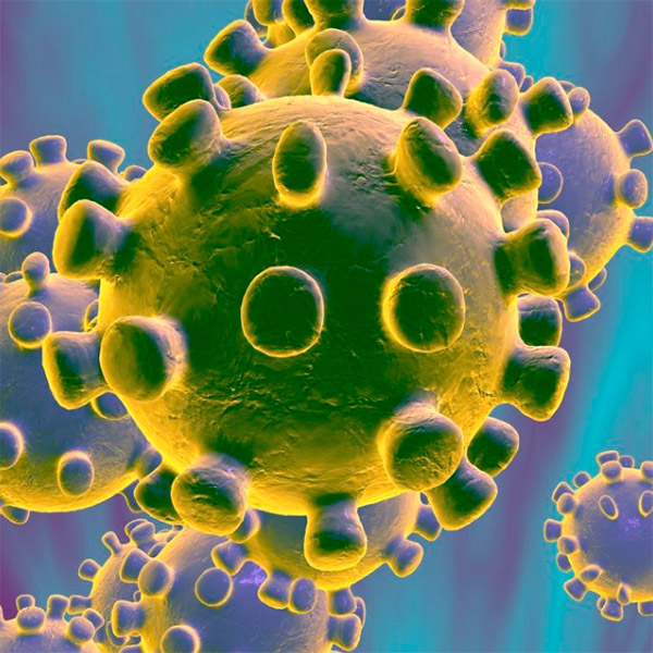 8 sites para acompanhar o Coronavirus e se prevenir