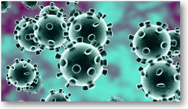 virus