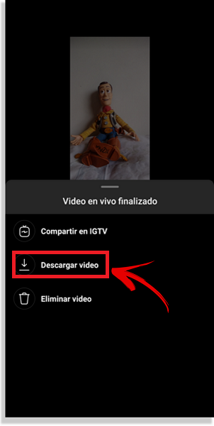 transmisiones en vivo de Instagram descargar video