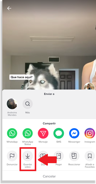 guardar videos de tiktok