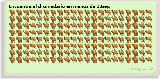 mejores desafíos para WhatsApp dromedario
