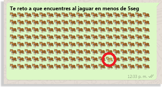 desafío jaguar respuesta