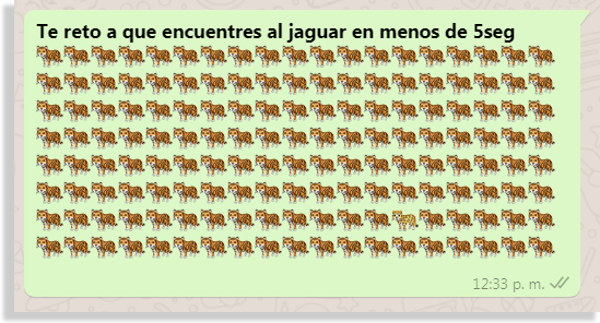 desafío jaguar whatsapp