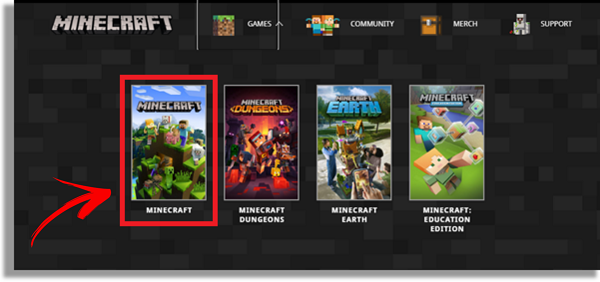 jugar Minecraft