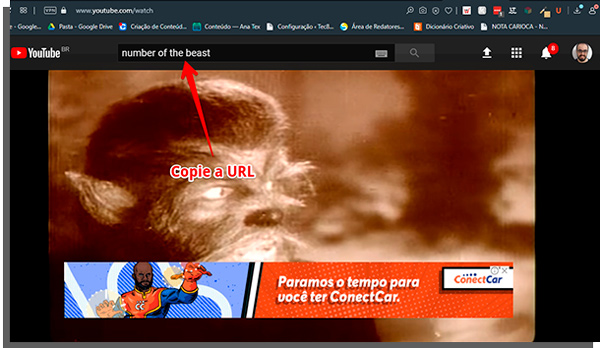 copie a url da música do youtube para baixar