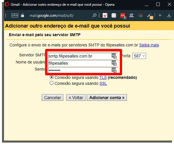 informações do email com domínio próprio