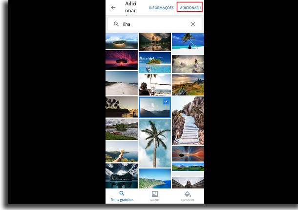 opções no adobe spark