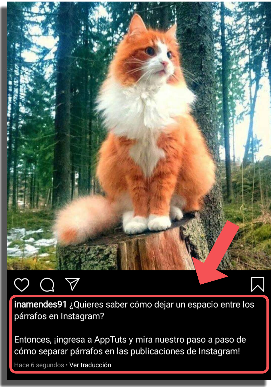 C mo separar p rrafos en las publicaciones de Instagram - 15