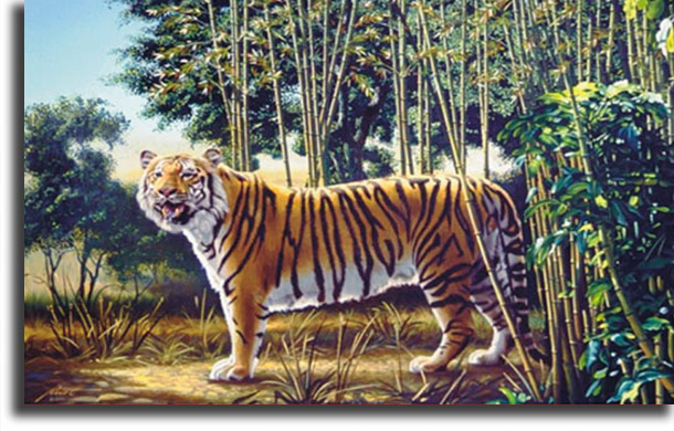 The Hidden Tiger 