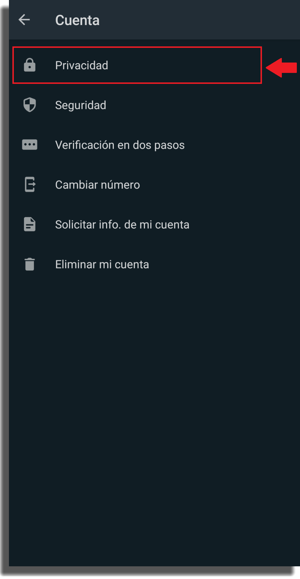 C mo ser invisible en WhatsApp sin desconectarse de Internet   AppTuts - 11