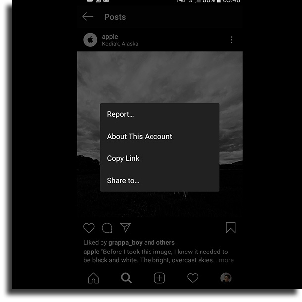 Share to share Instagram link on whatsapp