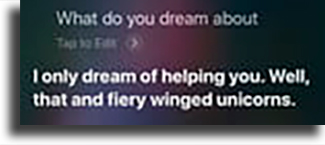 What do you dream about? 