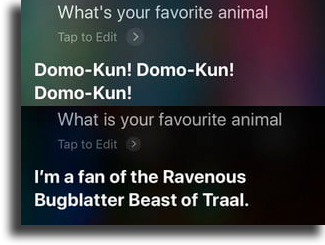 What is your favorite animal? funny things to tell siri