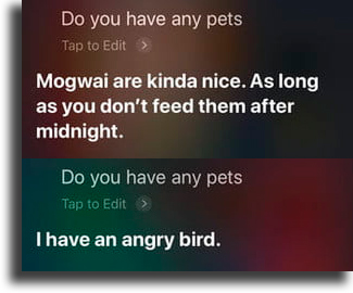 Do you have any pets? funny things to tell siri