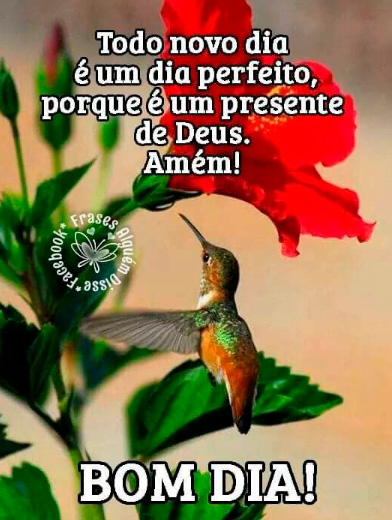 imagens-bom-dia-bichinhoseis