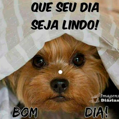 imagens-bom-dia-bichinhodez