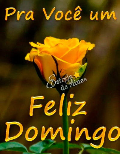 imagens-bom-dia-fdstres