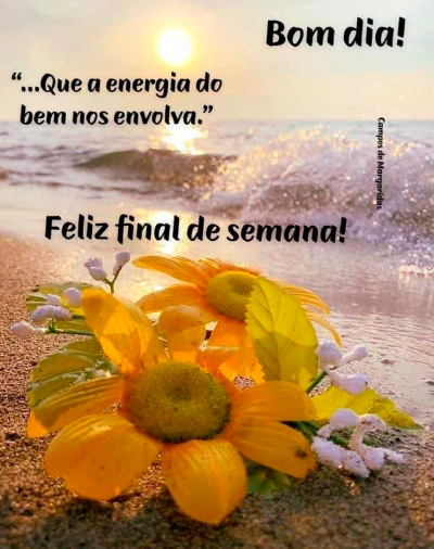imagens-bom-dia-bichinhodoze