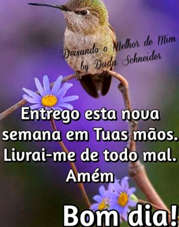 imagens-bom-dia-religiaotreze