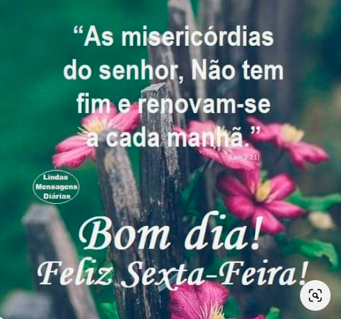 imagens-bom-dia-fdsum