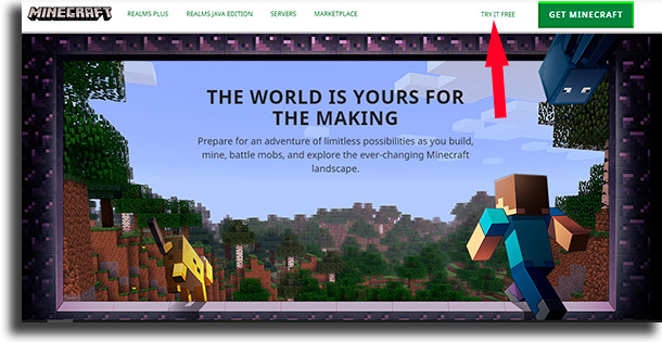 try it free play Minecraft for free