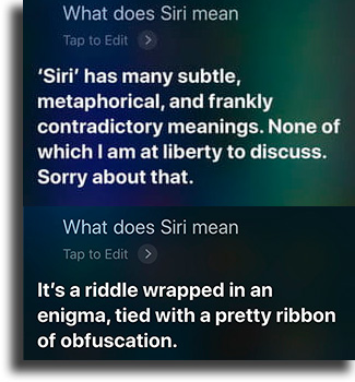 What does Siri mean? 