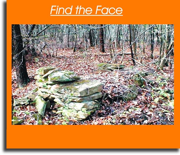 Find the face WhatsApp games