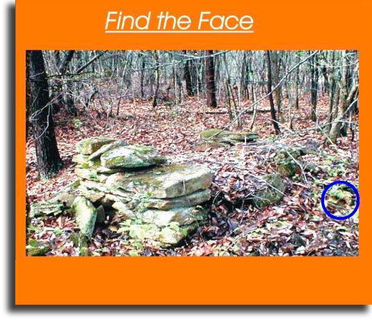Find the face 2 WhatsApp games