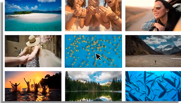 Wave.Video 