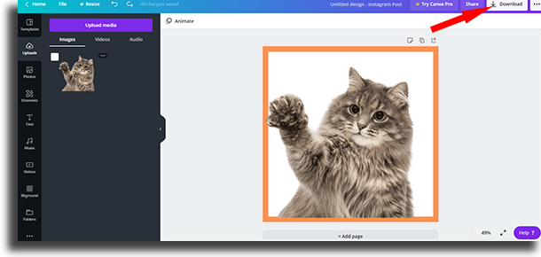 Download how to use Canva