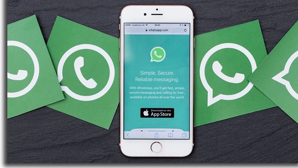 whatsapp business