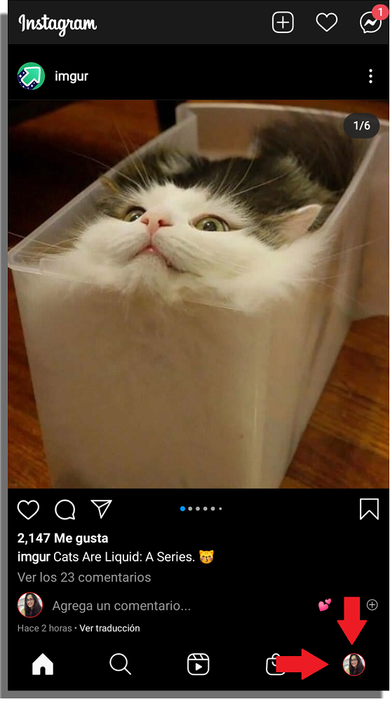 ocultar si estás en línea en Instagram