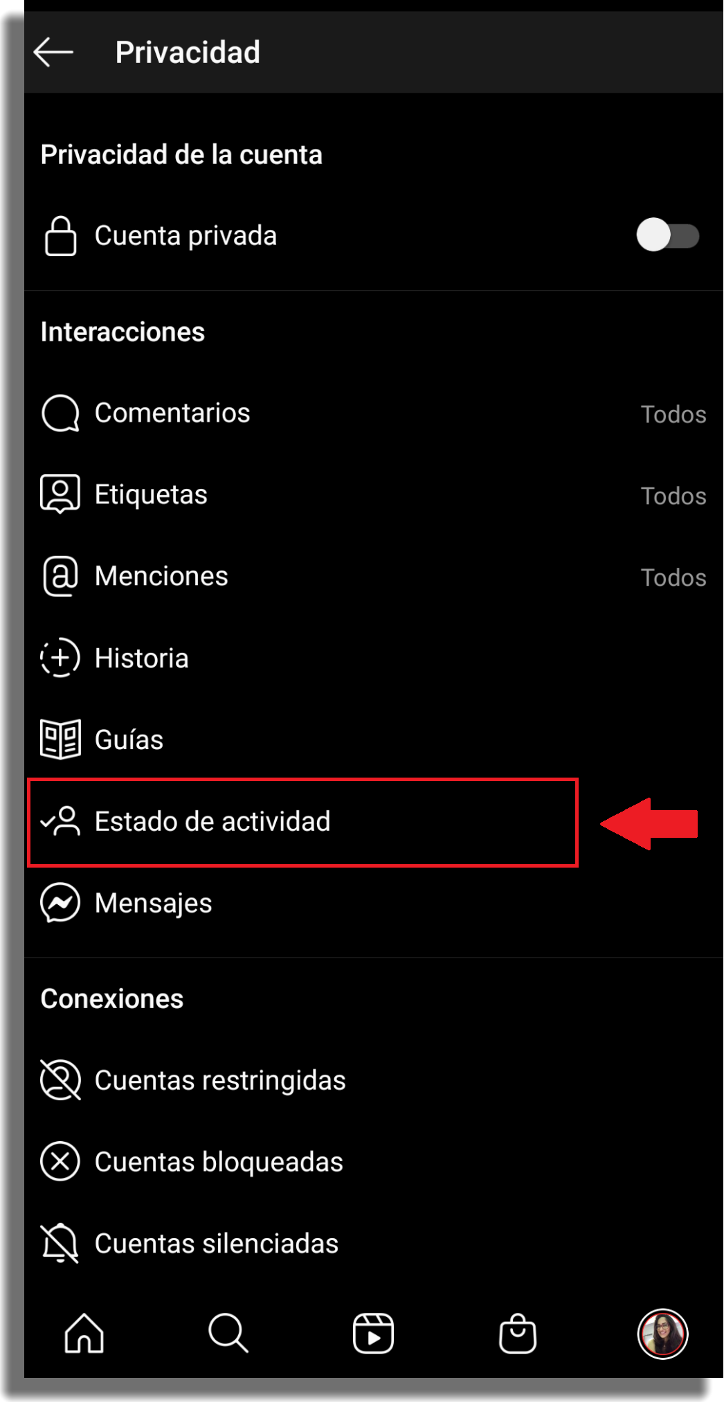 ocultar si estás en línea en Instagram