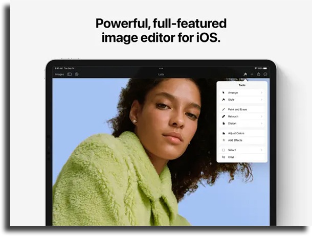 Top 10 best drawing apps for iPad in 2023  - 57