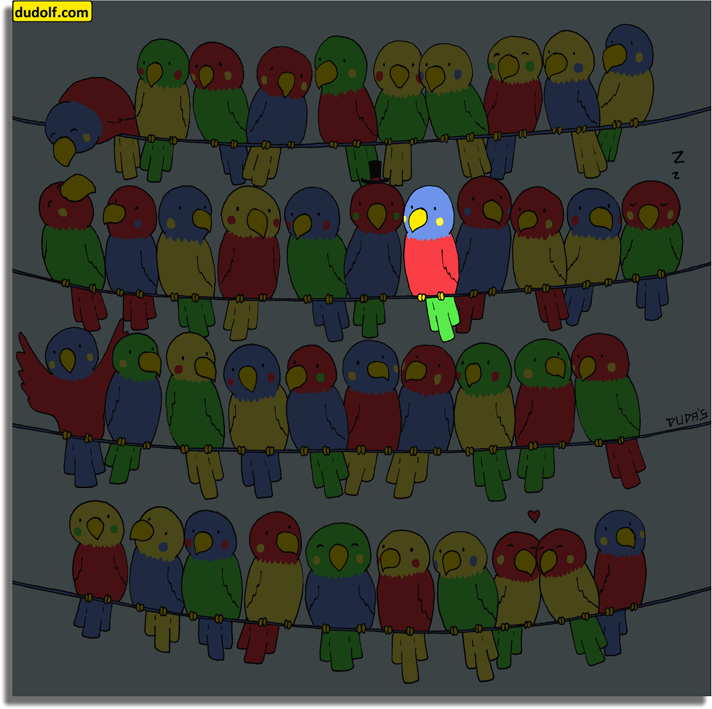 ¿Qué loro no tiene par? Respuesta