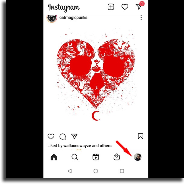 instagram app