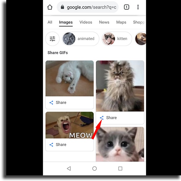 share button post GIFs to Instagram