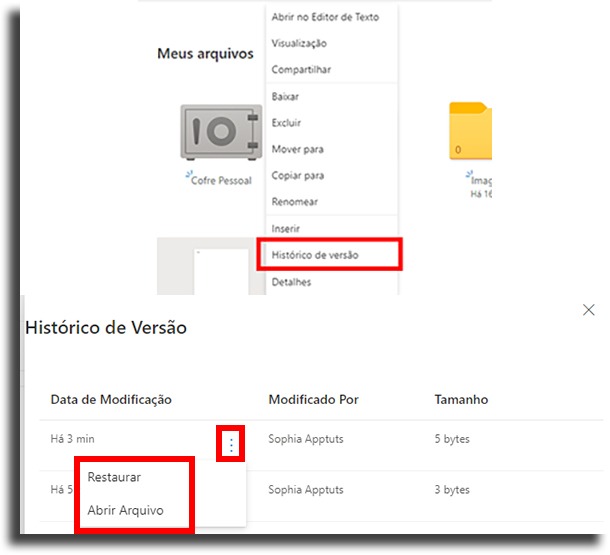Histórico de versões 