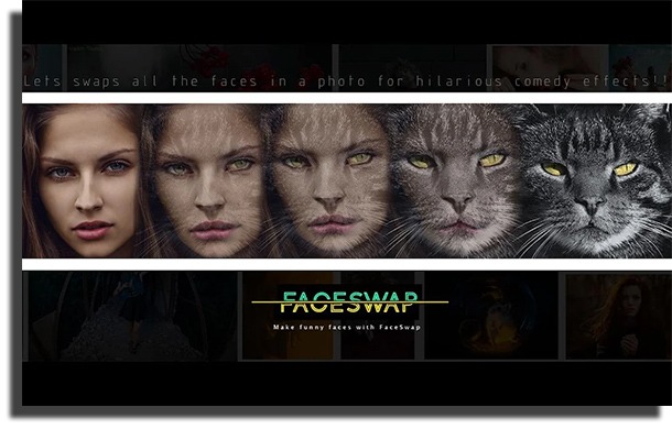 Face Swap FaceApp alternatives
