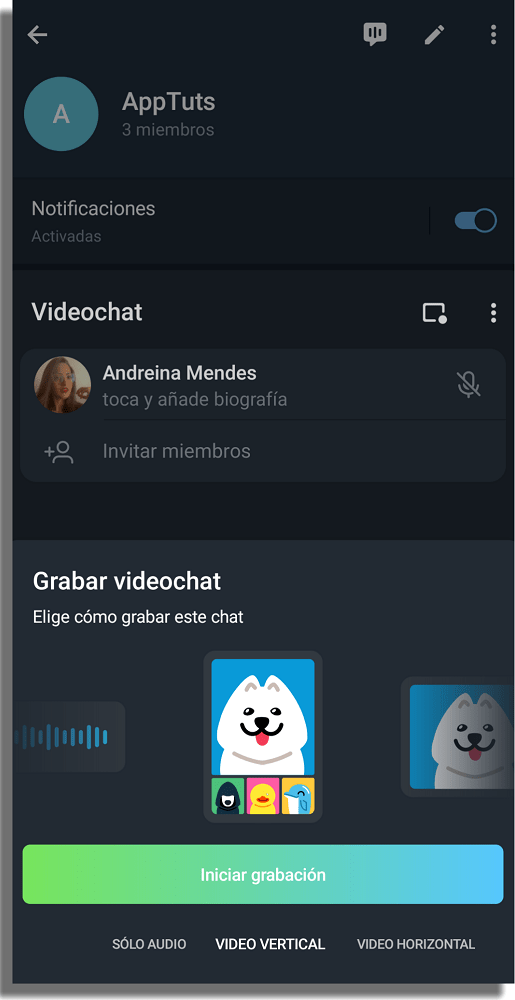 cómo hacer una videollamada en grupo en Telegram