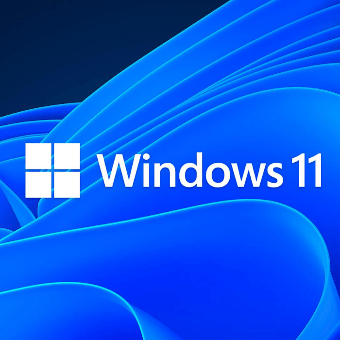 windows intel
