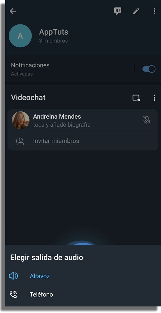 cómo hacer una videollamada en grupo en Telegram