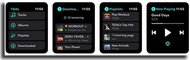 tidal listen to offline music on Apple Watch