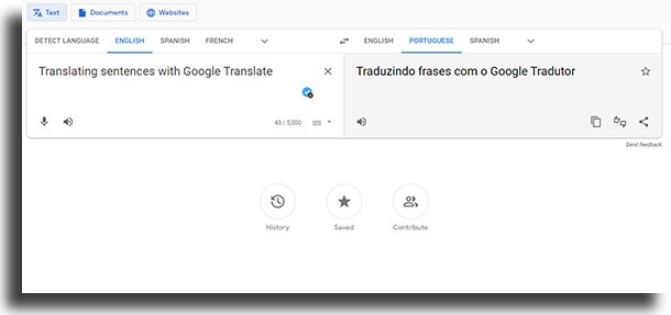 Google Translate menu how google translate works