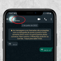 Status “Online” do WhatsApp poderá ser ocultado