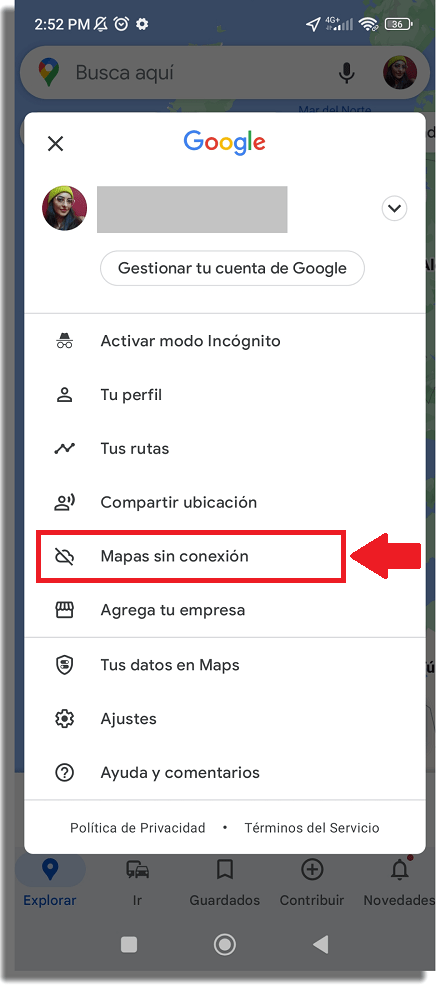mapas sin conexion google maps