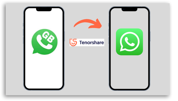transfer GB WhatsApp to WhatsApp via tenorshare