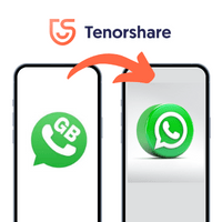 transfer GB WhatsApp to WhatsApp
