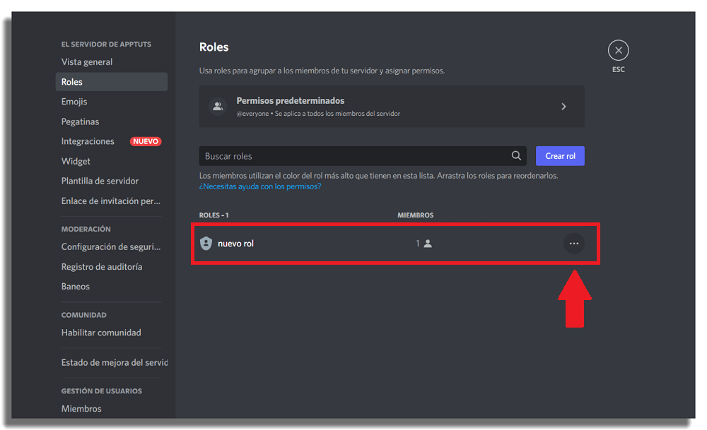 editar roles discord